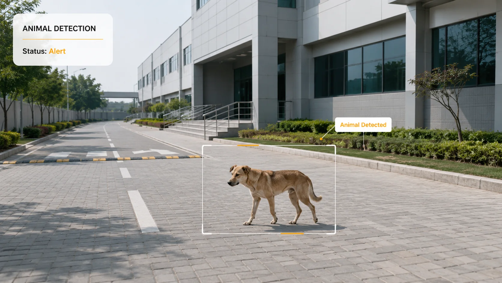 Case Study - Image 1